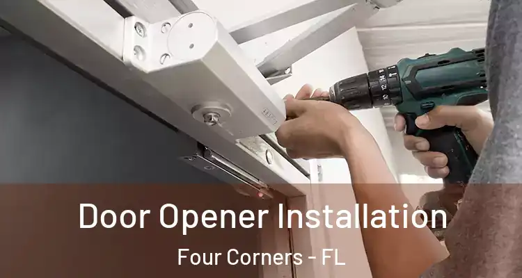  Door Opener Installation Four Corners - FL