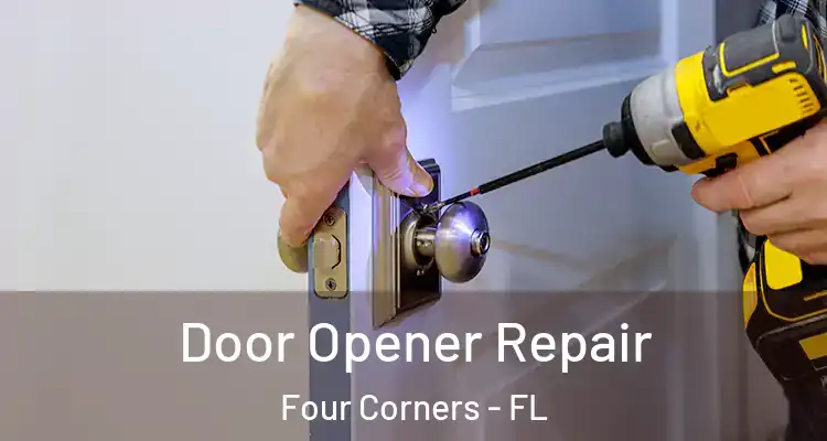  Door Opener Repair Four Corners - FL