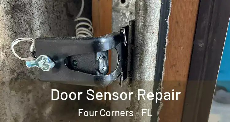 Door Sensor Repair Four Corners - FL