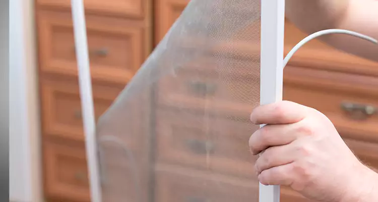 Privacy Mesh Screen Door Installation in Four Corners, FL