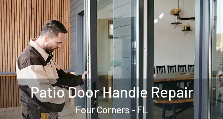  Patio Door Handle Repair Four Corners - FL