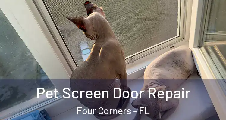  Pet Screen Door Repair Four Corners - FL