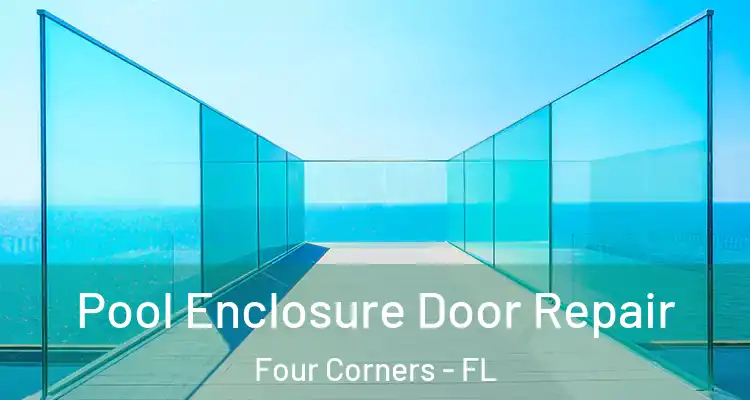  Pool Enclosure Door Repair Four Corners - FL