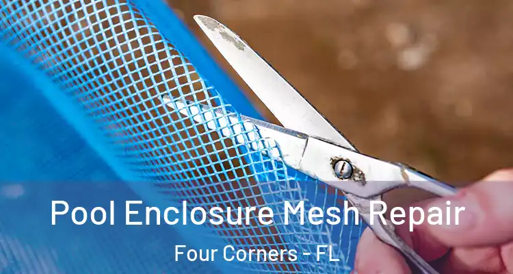 Pool Enclosure Mesh Repair Four Corners - FL