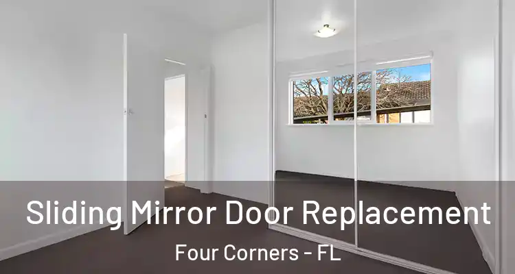  Sliding Mirror Door Replacement Four Corners - FL